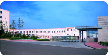 青島京瑞達貿易 以技術研發為引擎，驅動計算機軟硬件業務發展